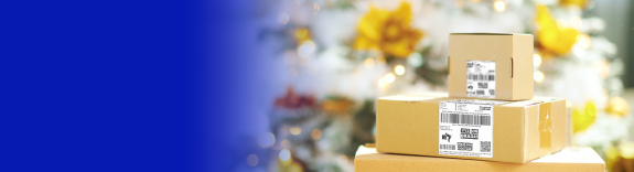 Man with Santa hat holding a parcel.