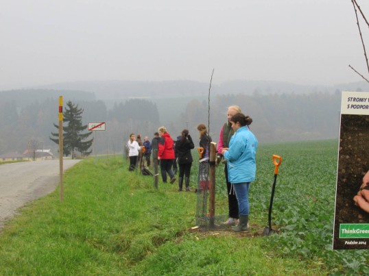 GLS dobrovolníci vysazují stromy za účelem snížení C02