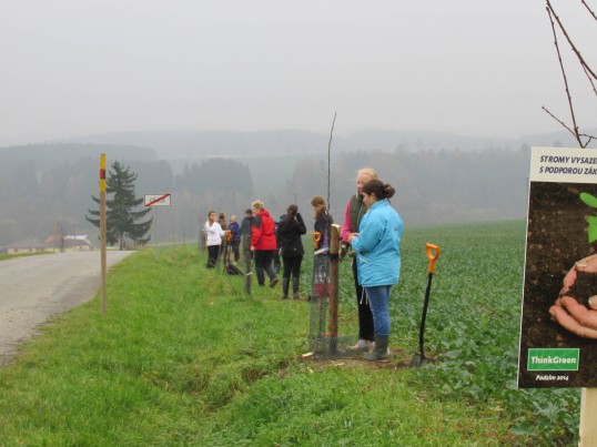 GLS workers plant trees along the road to offset carbon emissions