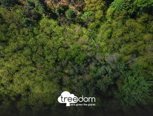 treedom GLS forest