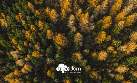 Treedom