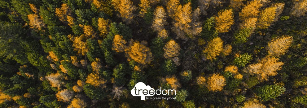 Treedom