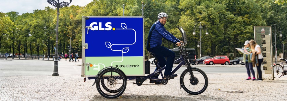 Driver riding an ebike on a park
