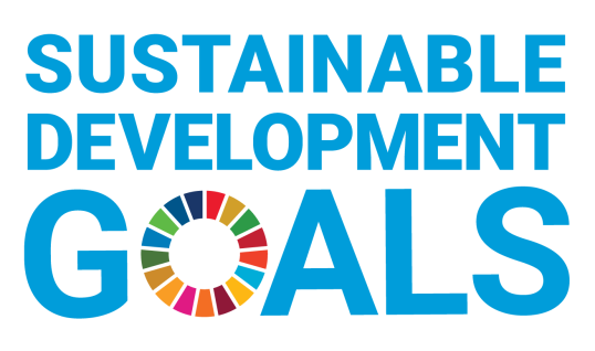 Obiective de dezvoltare durabilă